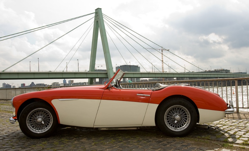Austin Healey6426